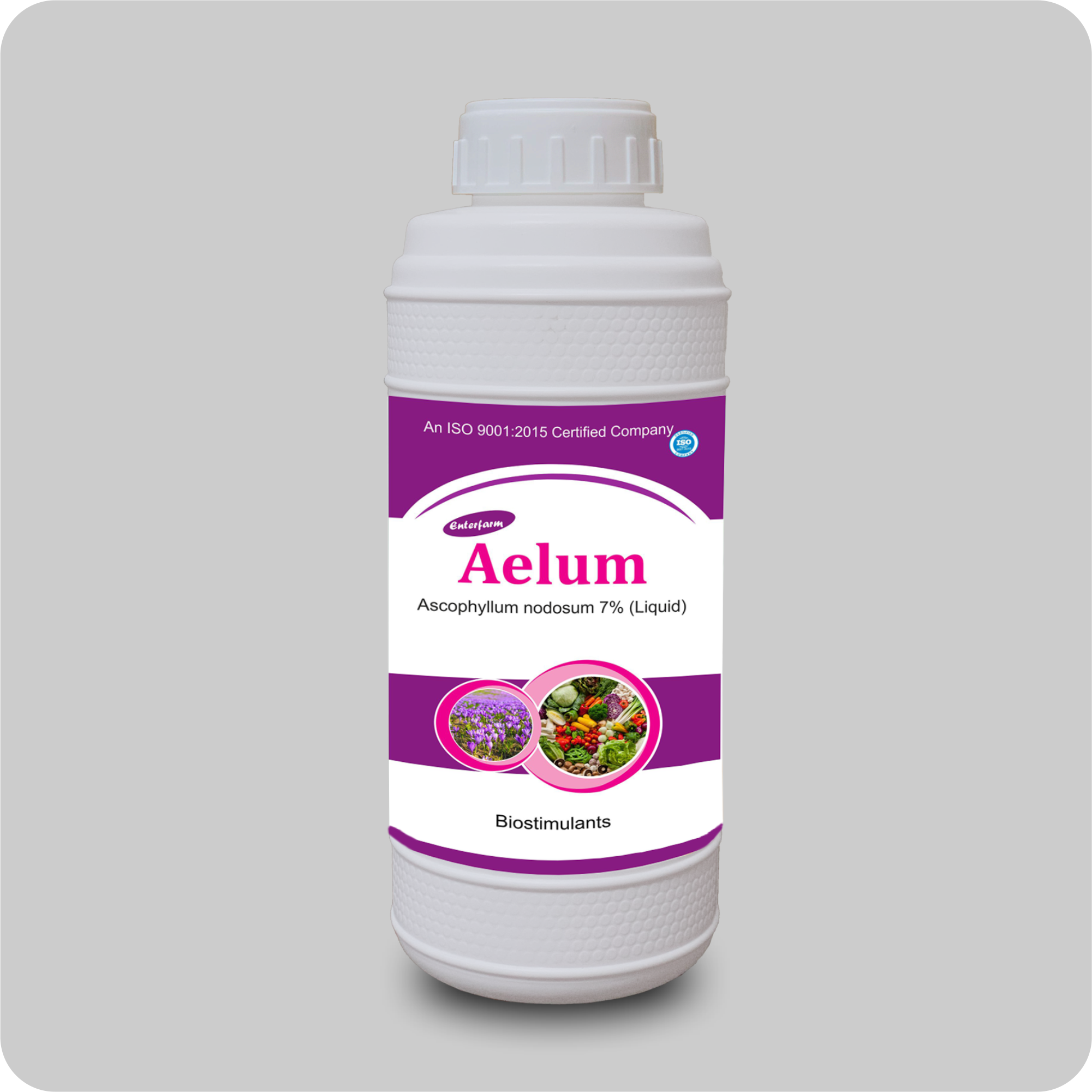 AELUM.png