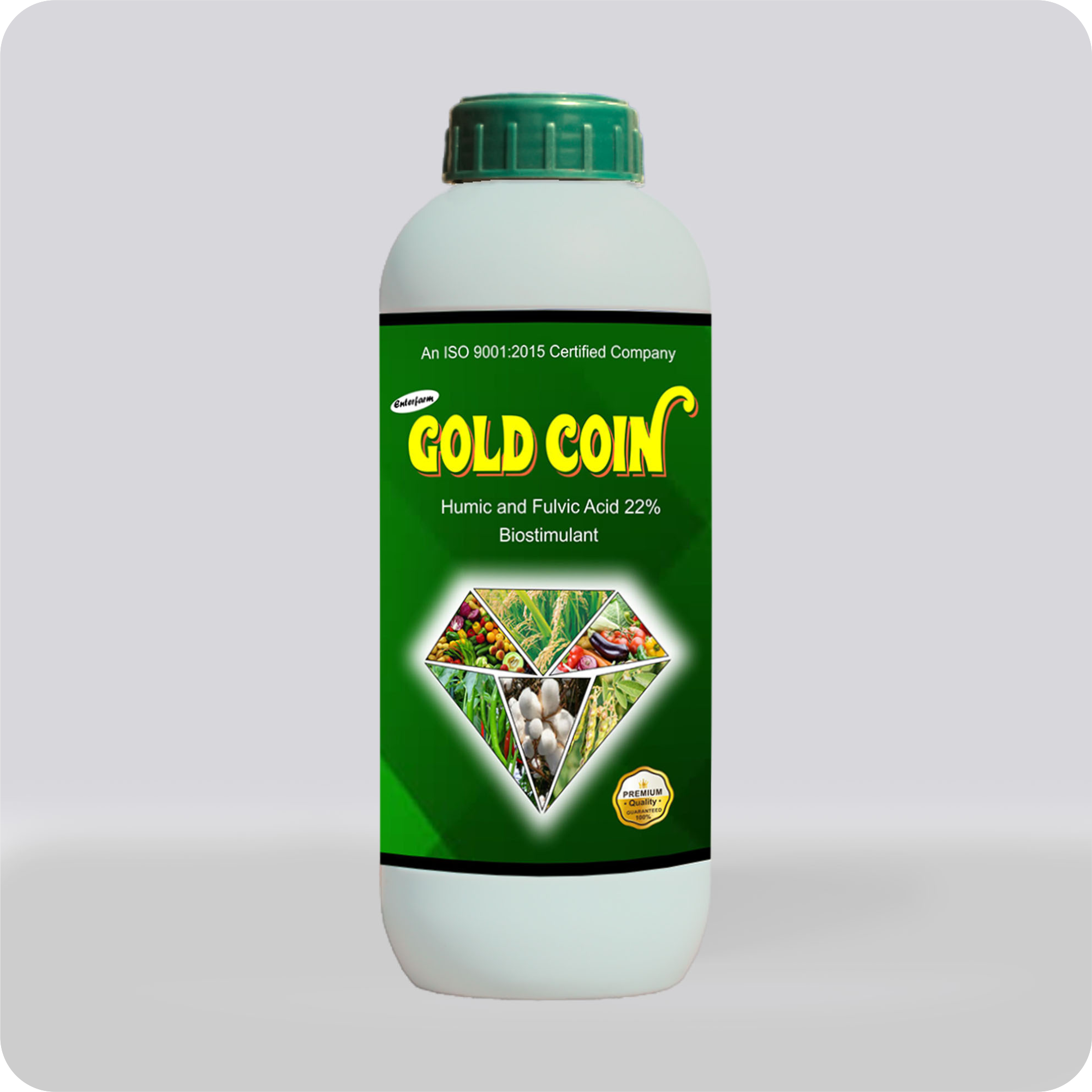 GOLD_COIN.png